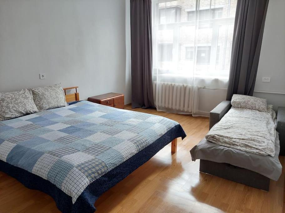 Bright Spacious With Street Parking * Riga